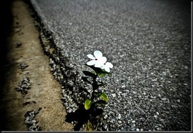 O que é resiliência